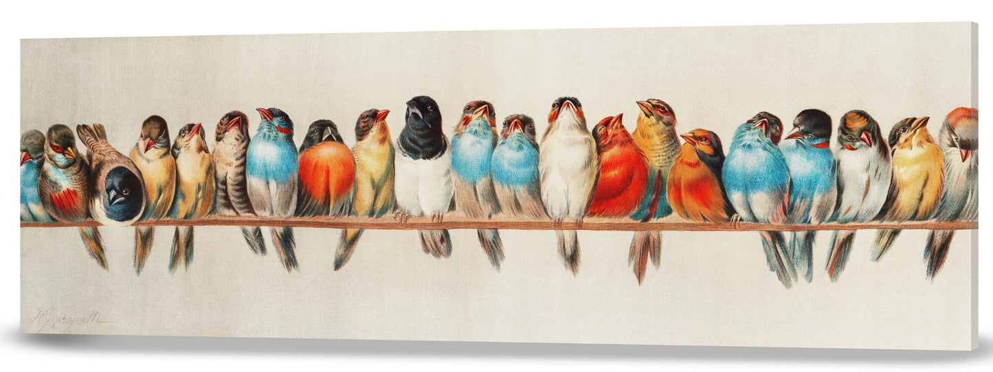 UNA PERCHA DE PÁJAROS