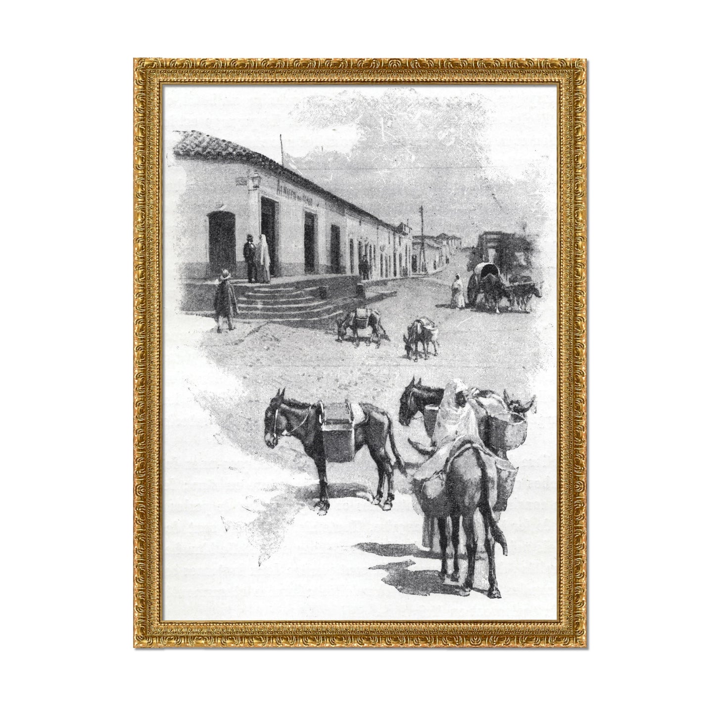 BURROS DE CARGA EN ASUNCIÓN