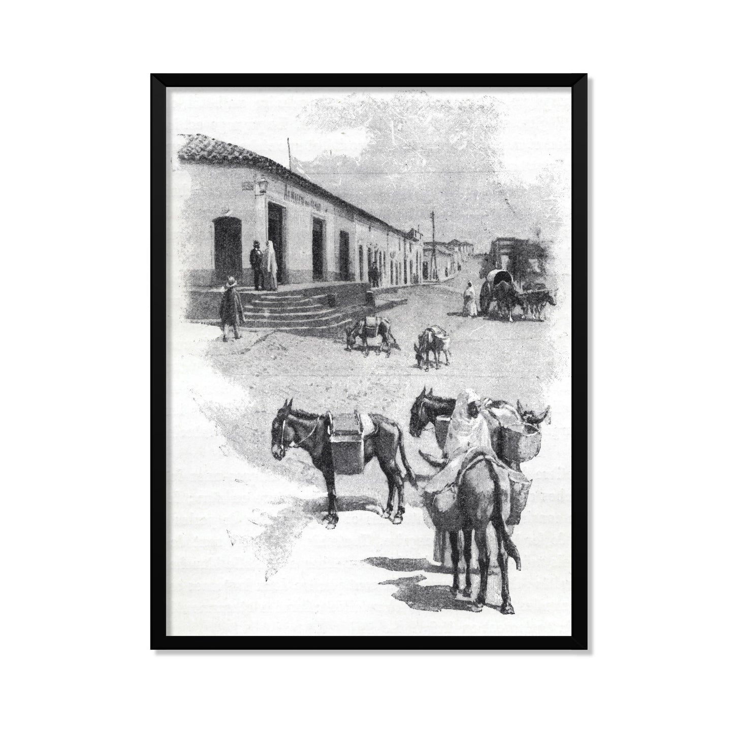 BURROS DE CARGA EN ASUNCIÓN