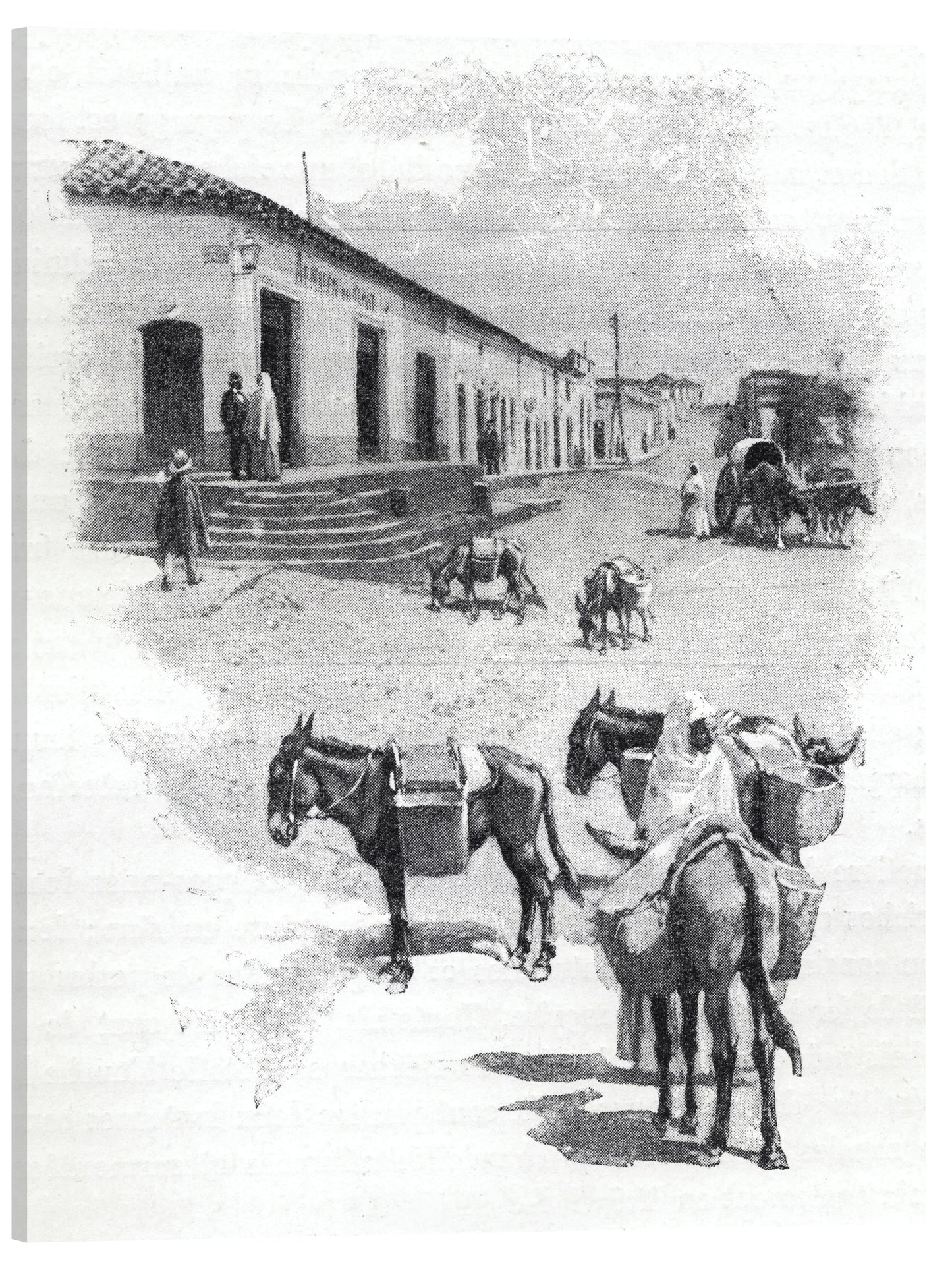 BURROS DE CARGA EN ASUNCIÓN