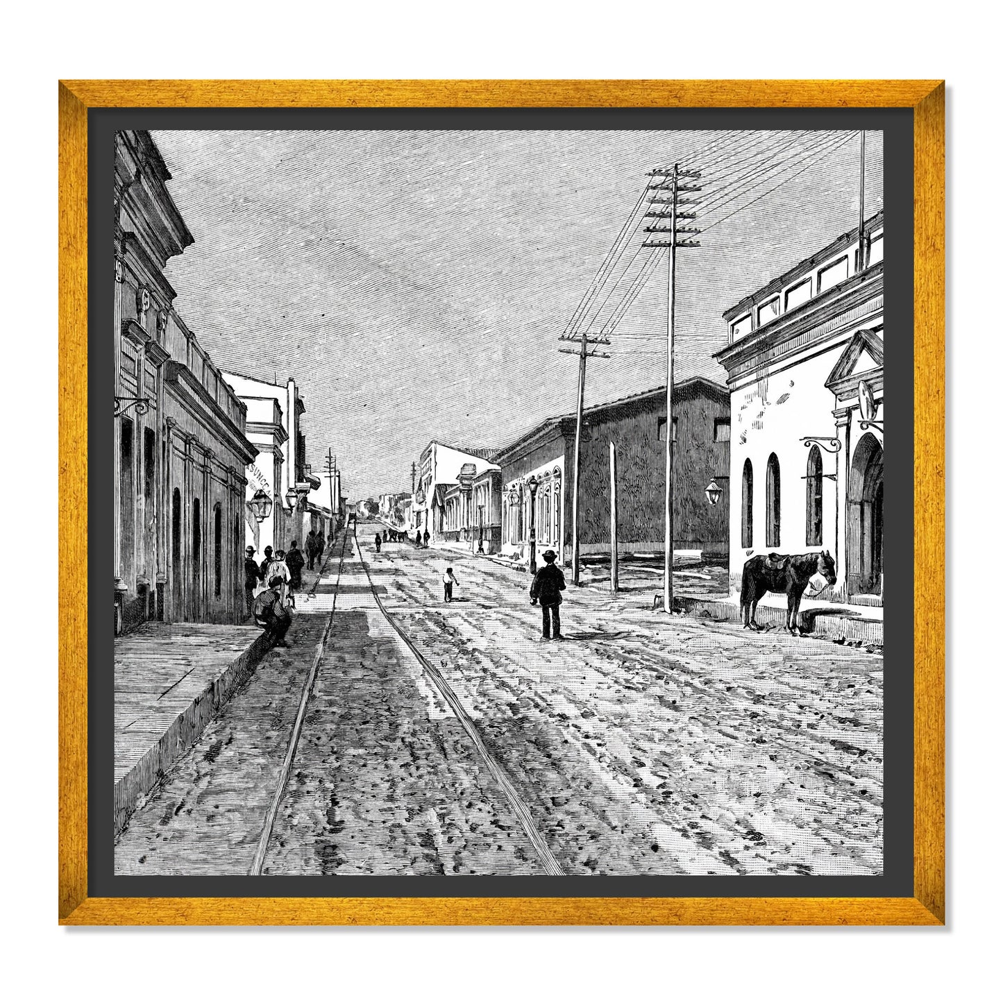 VISTA DE ASUNCIÓN 1894