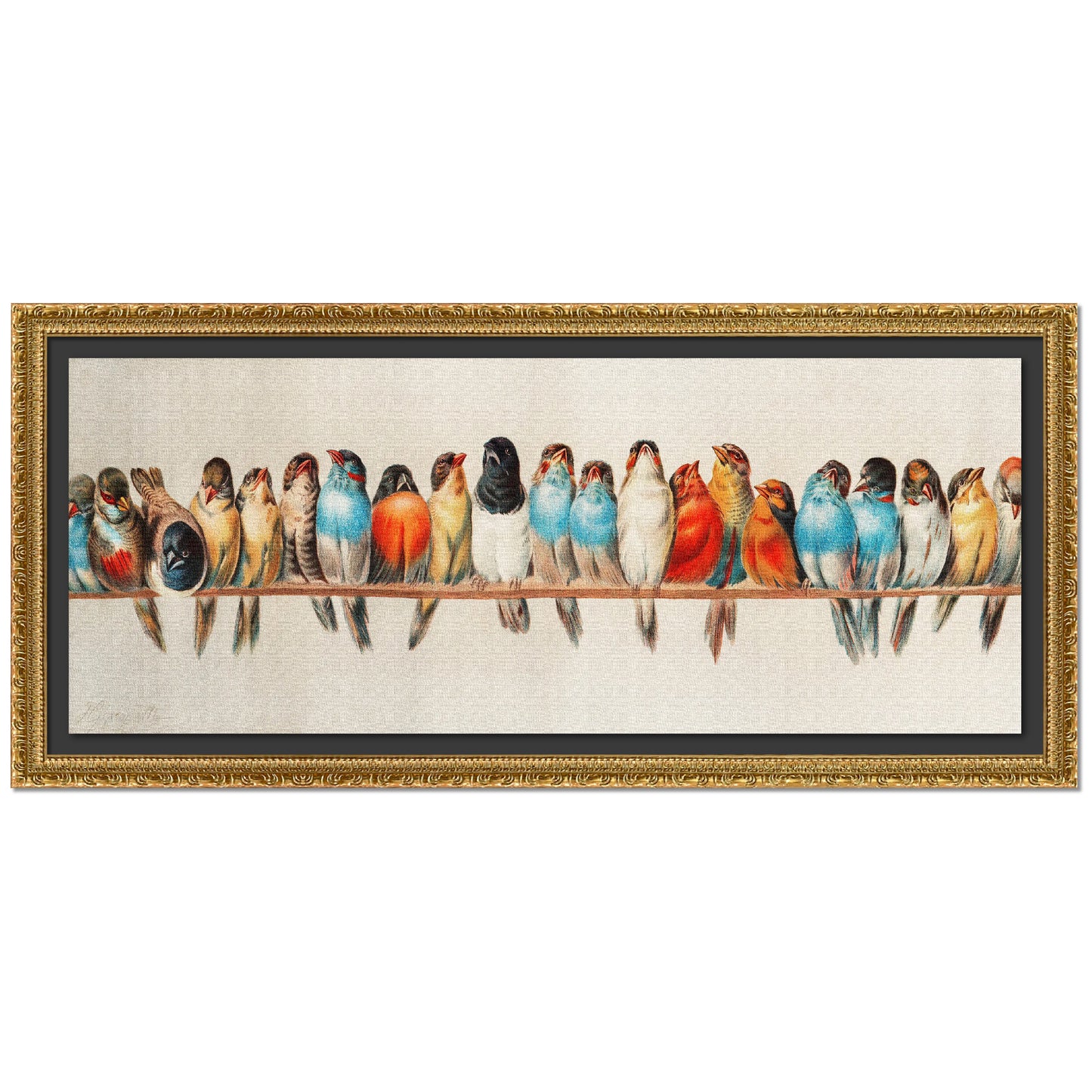 UNA PERCHA DE PÁJAROS