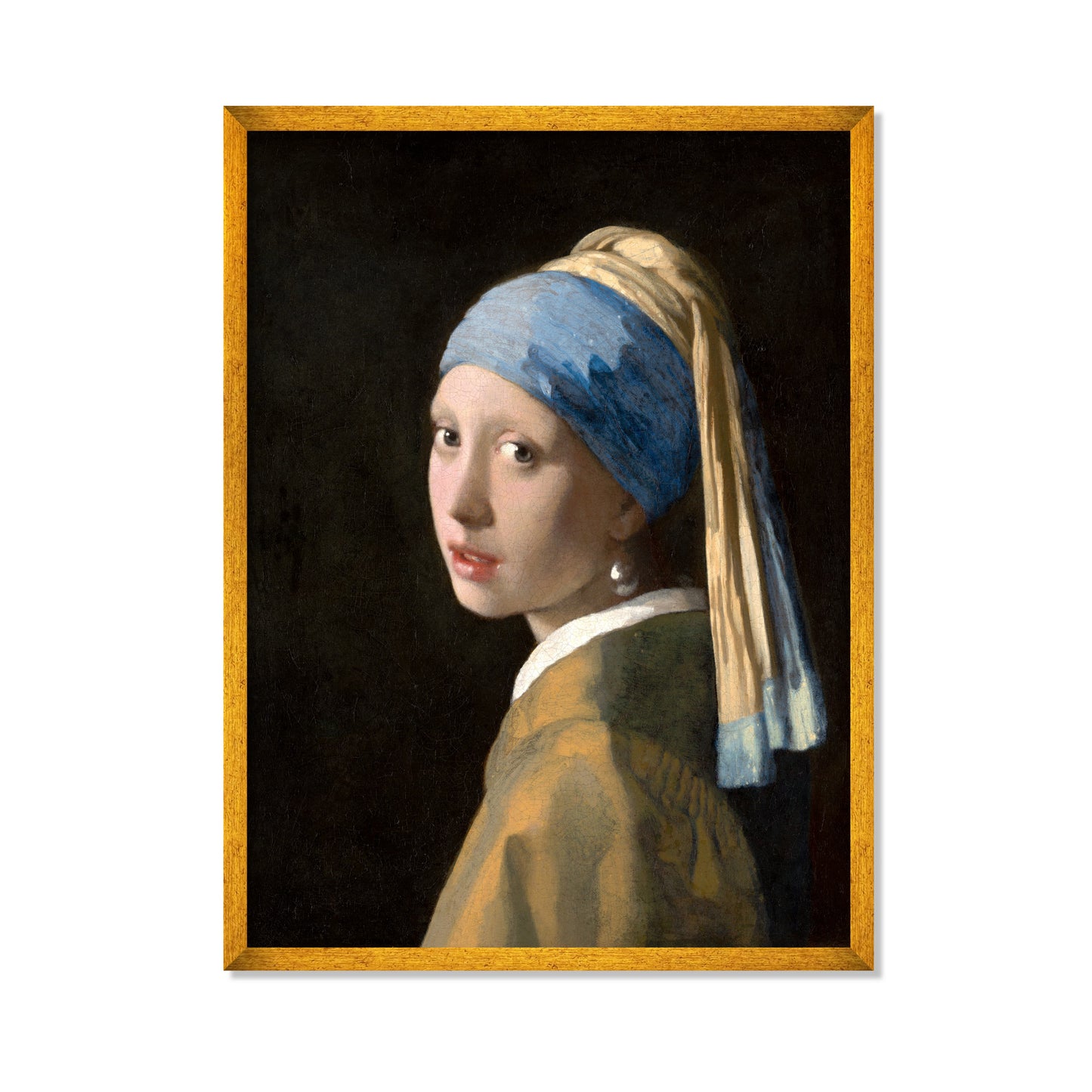 LA JOVEN DE LA PERLA