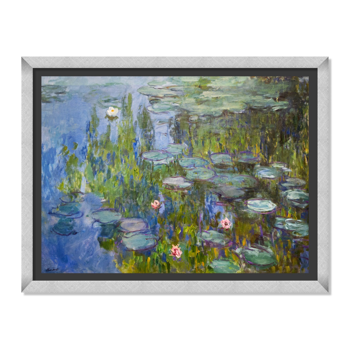 ESTANQUE DE NENÚFARES