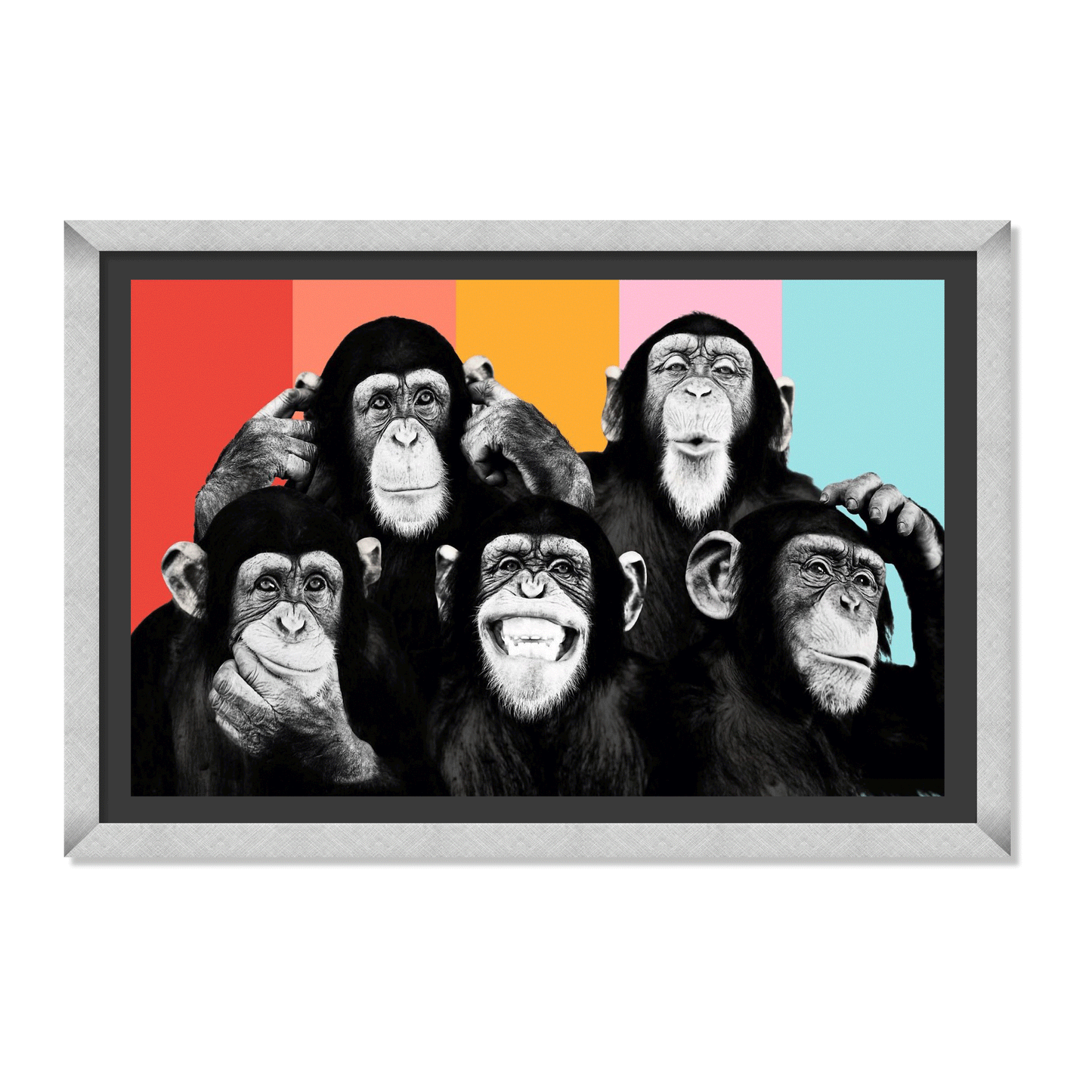 CHIMPANCÉS POP ART
