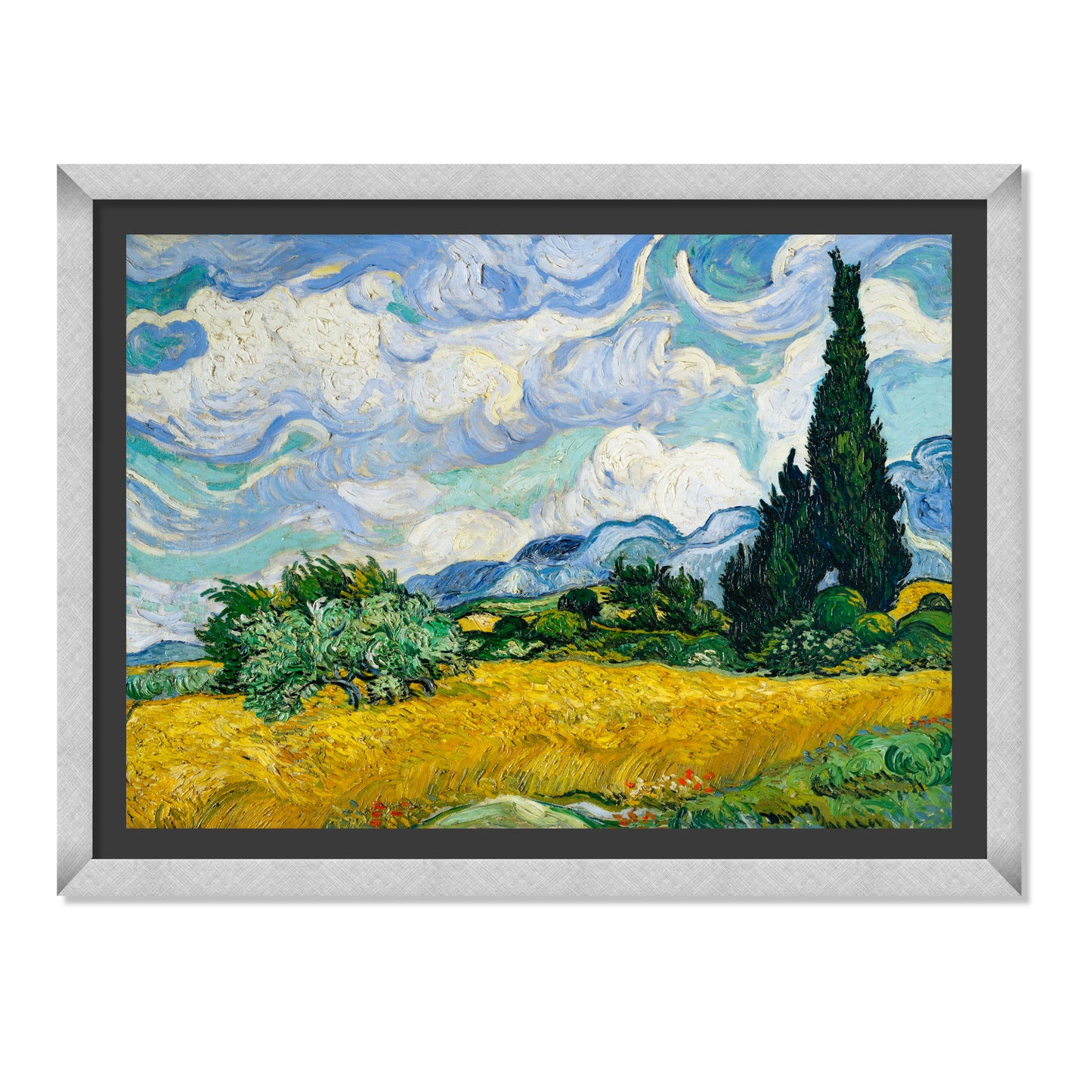 CAMPO DE TRIGO CON CIPRESES