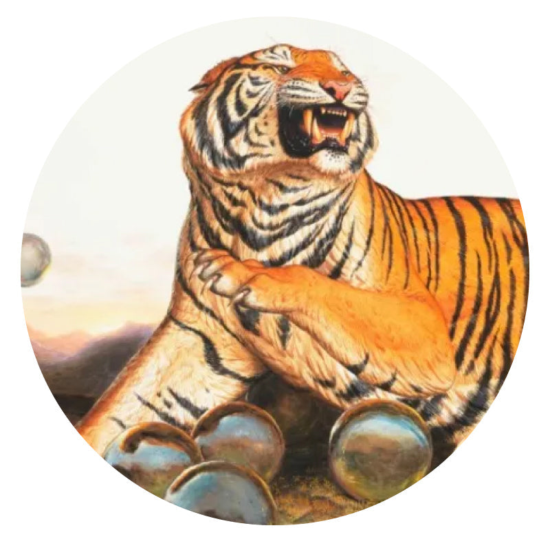 Animales y Naturaleza Salvaje