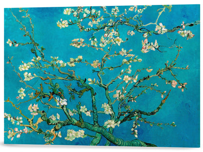 ALMENDRO EN FLOR