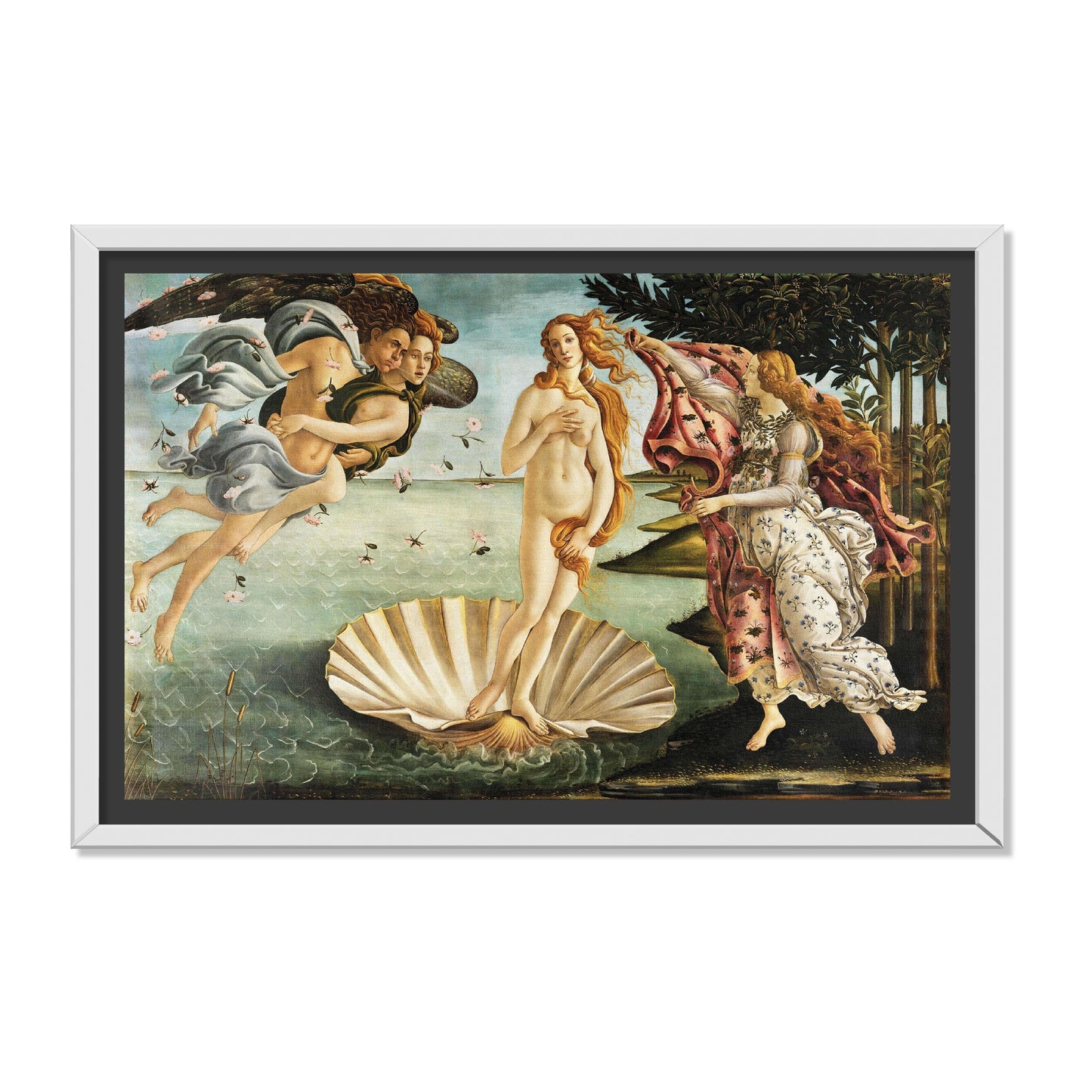 EL NACIMIENTO DE VENUS