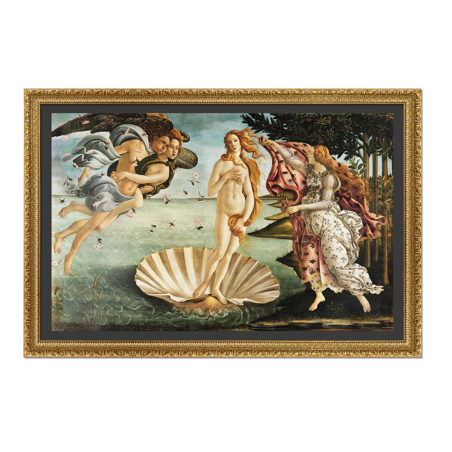 EL NACIMIENTO DE VENUS