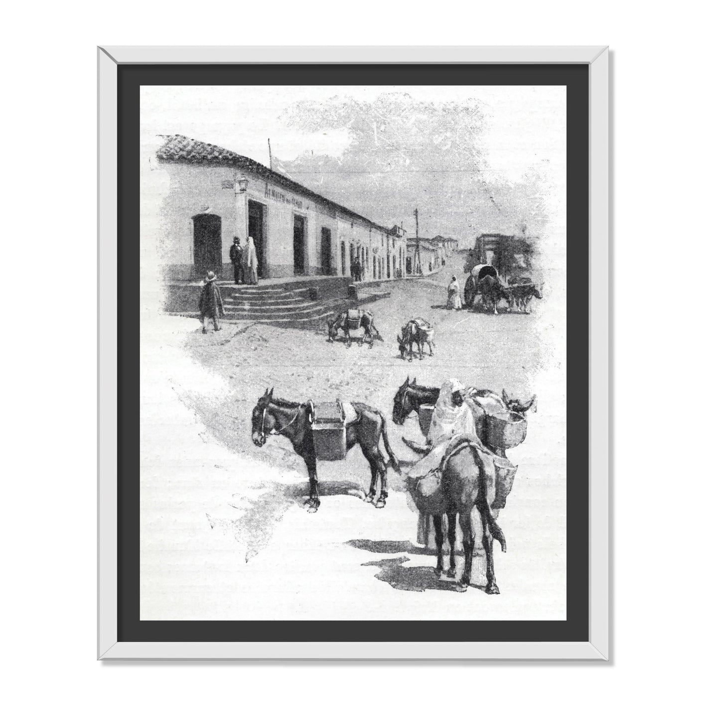 BURROS DE CARGA EN ASUNCIÓN