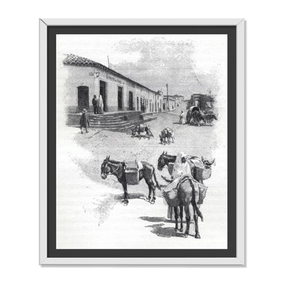 BURROS DE CARGA EN ASUNCIÓN