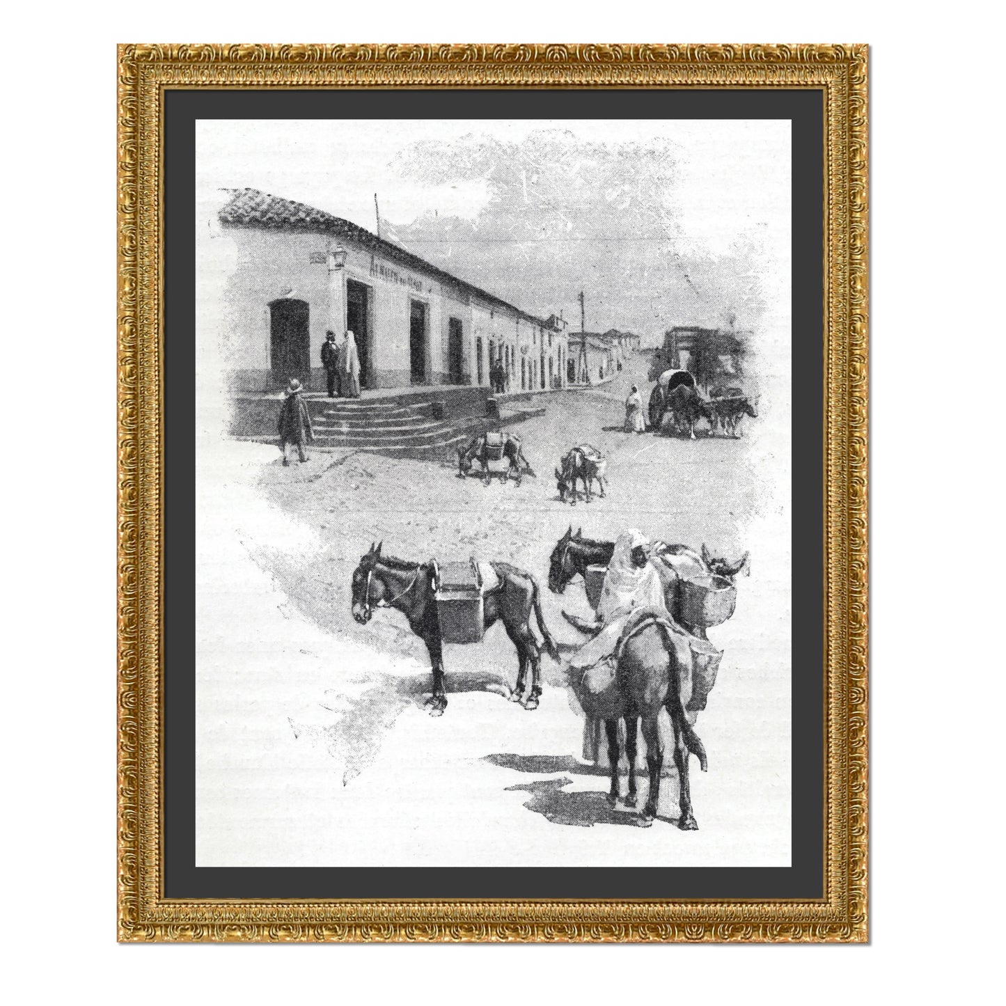 BURROS DE CARGA EN ASUNCIÓN