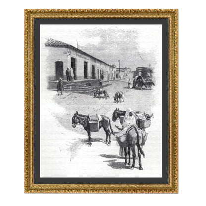 BURROS DE CARGA EN ASUNCIÓN