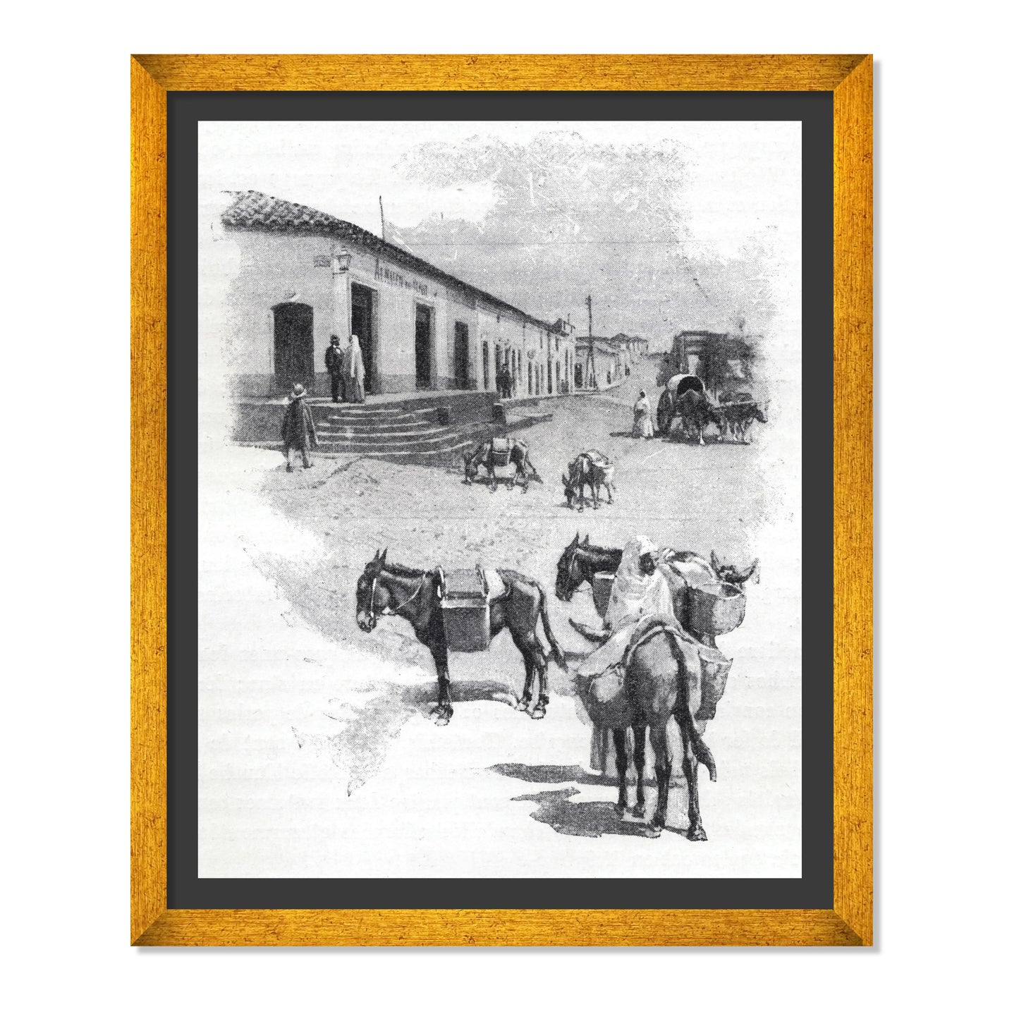 BURROS DE CARGA EN ASUNCIÓN