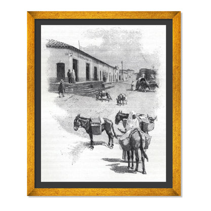 BURROS DE CARGA EN ASUNCIÓN