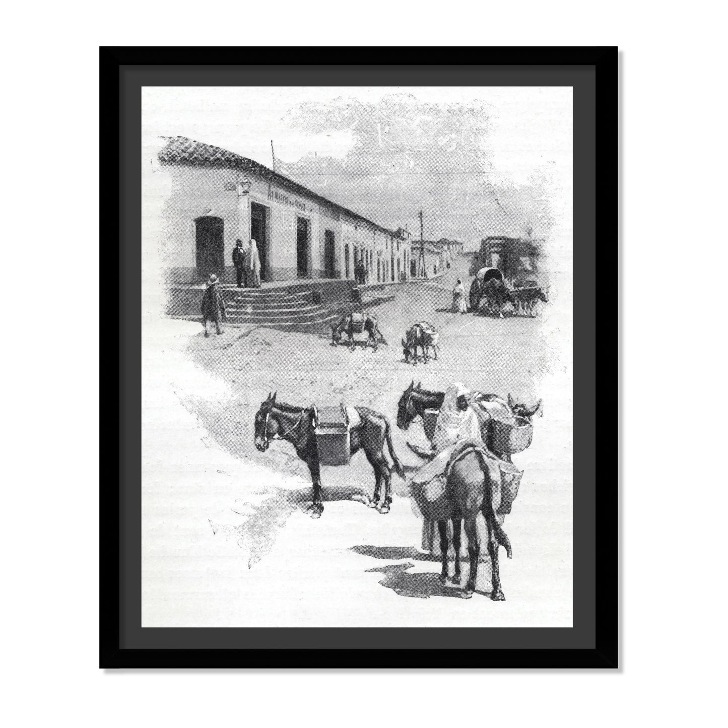 BURROS DE CARGA EN ASUNCIÓN