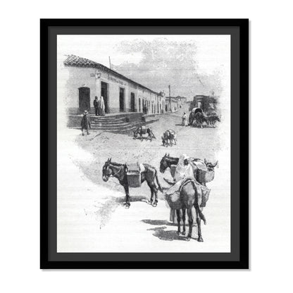 BURROS DE CARGA EN ASUNCIÓN