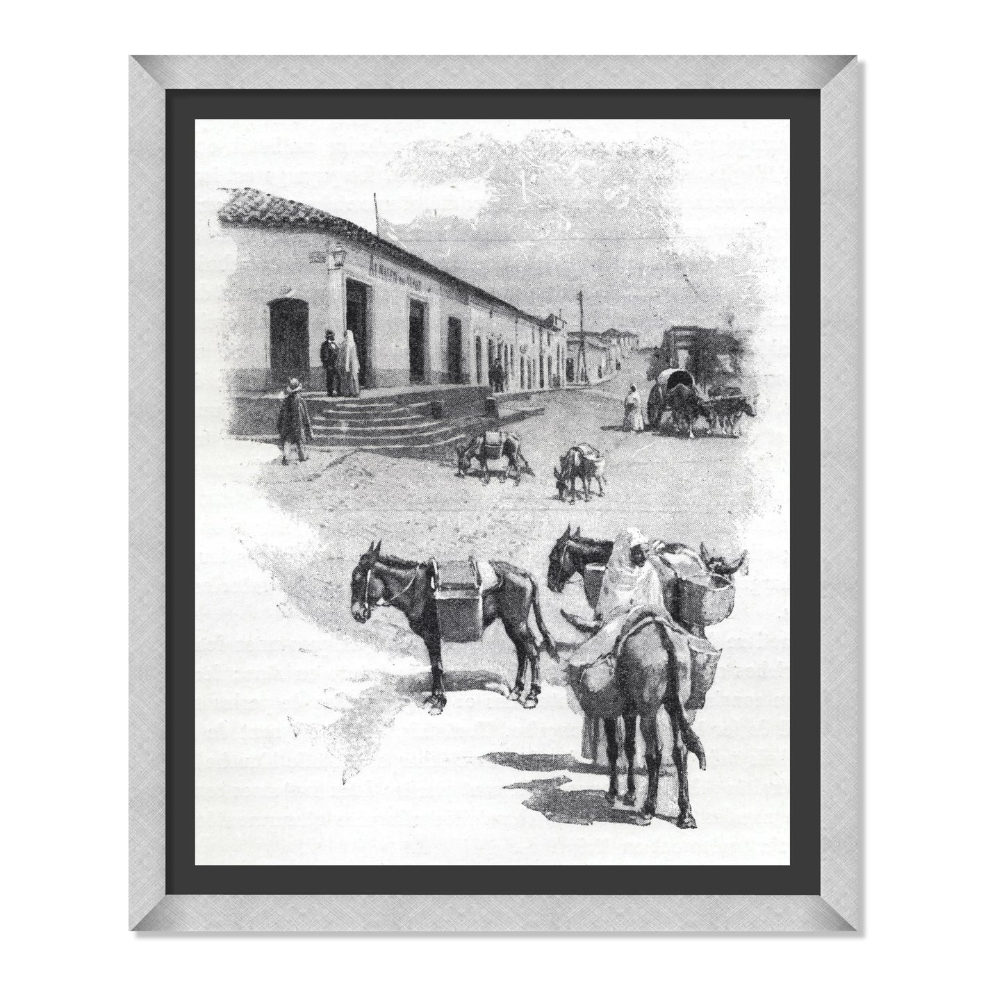 BURROS DE CARGA EN ASUNCIÓN