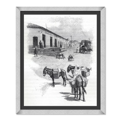 BURROS DE CARGA EN ASUNCIÓN