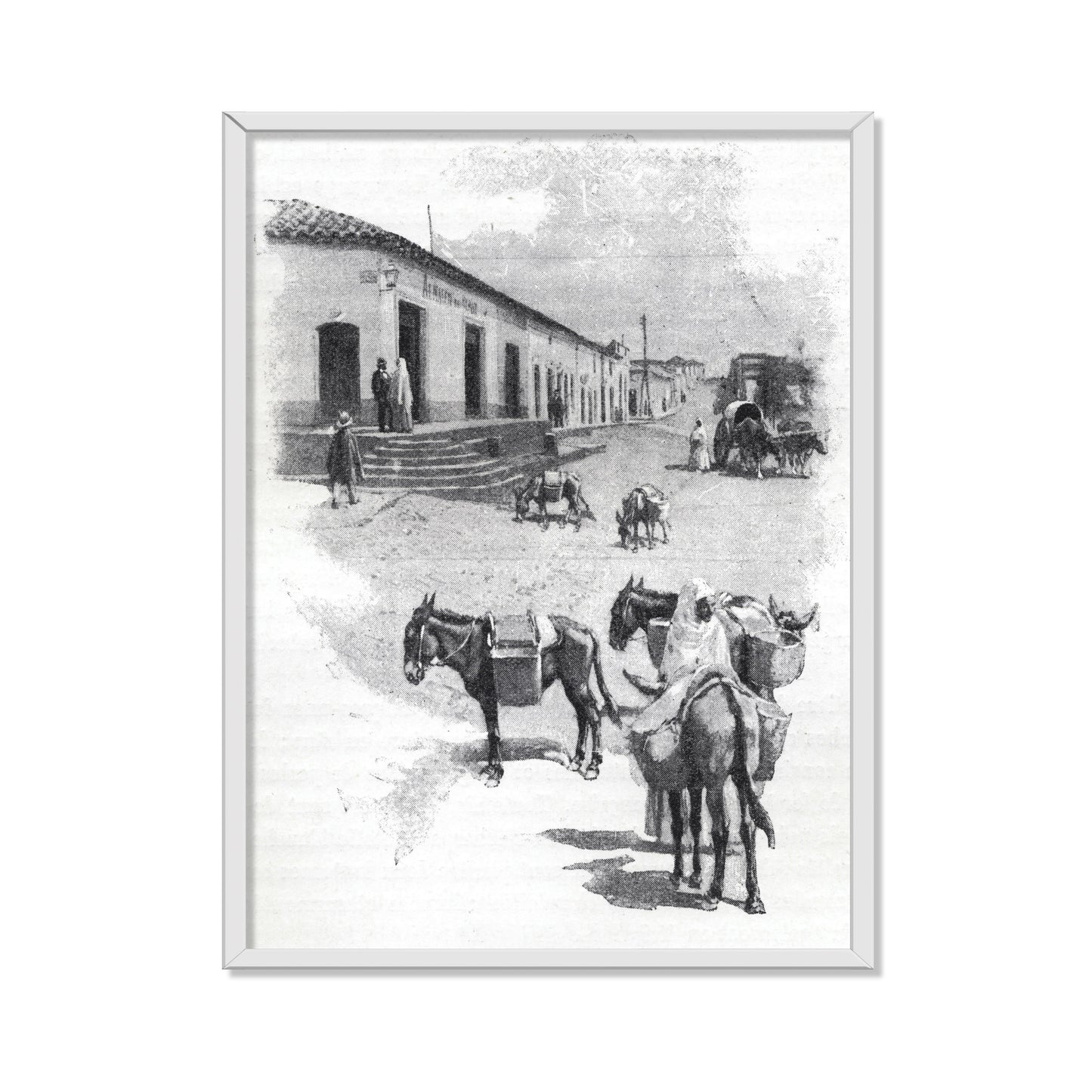 BURROS DE CARGA EN ASUNCIÓN