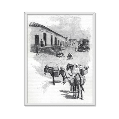 BURROS DE CARGA EN ASUNCIÓN