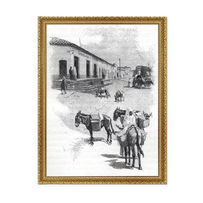 BURROS DE CARGA EN ASUNCIÓN