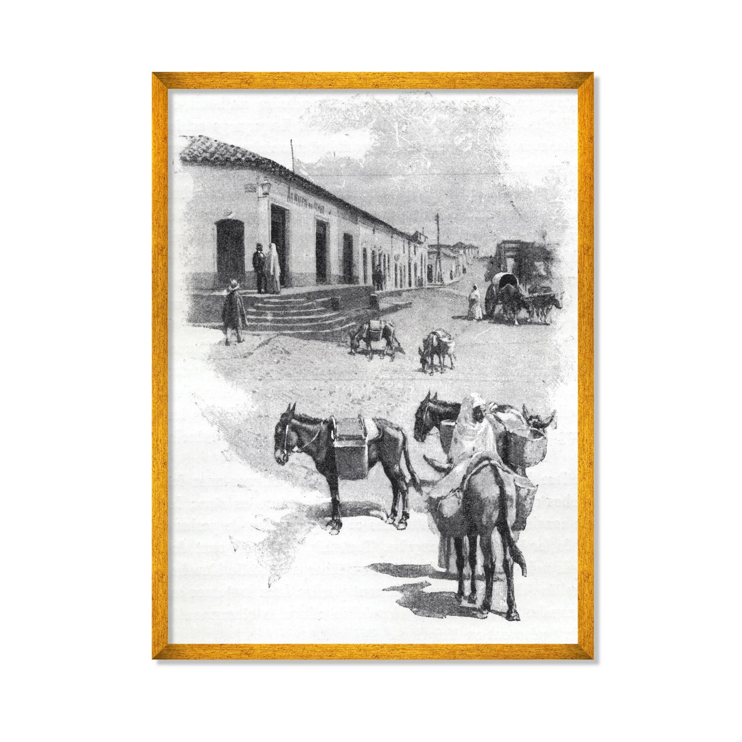 BURROS DE CARGA EN ASUNCIÓN