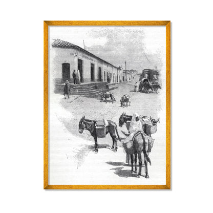 BURROS DE CARGA EN ASUNCIÓN