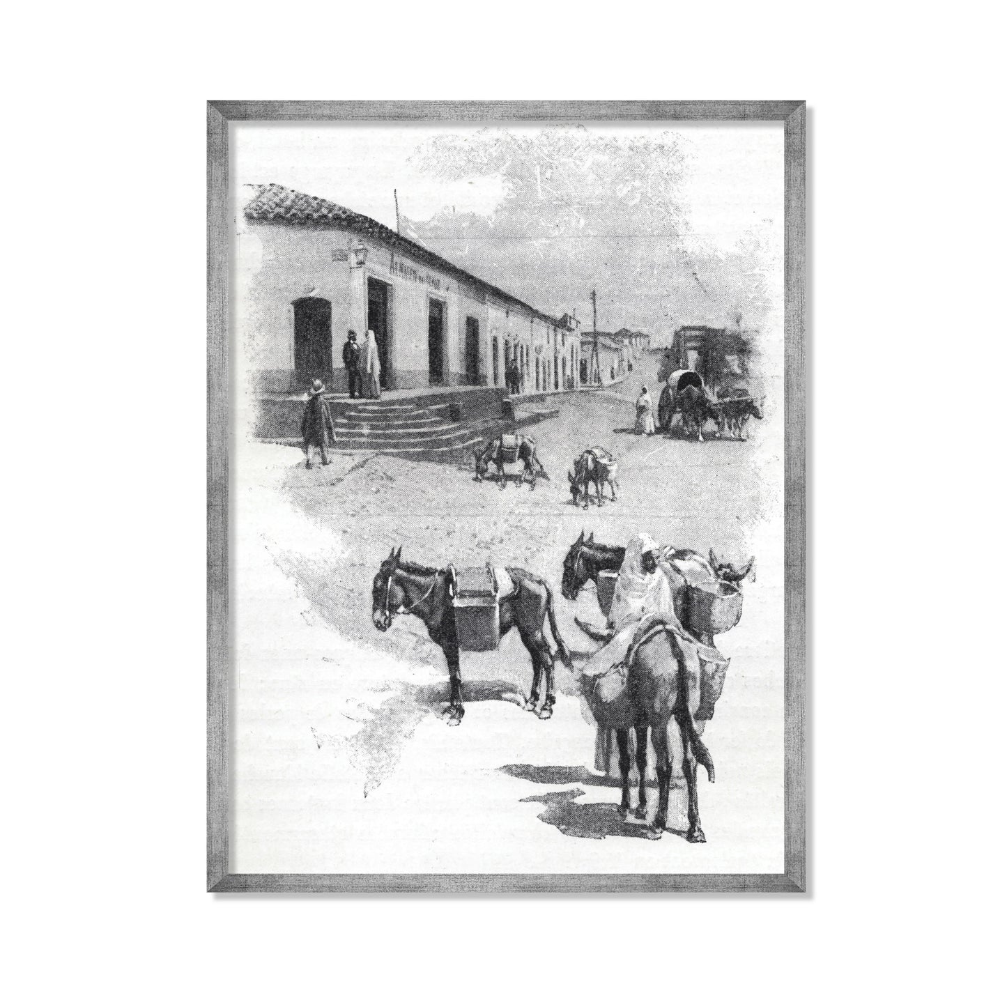 BURROS DE CARGA EN ASUNCIÓN