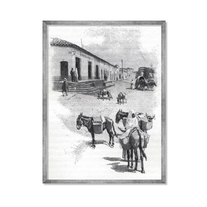 BURROS DE CARGA EN ASUNCIÓN