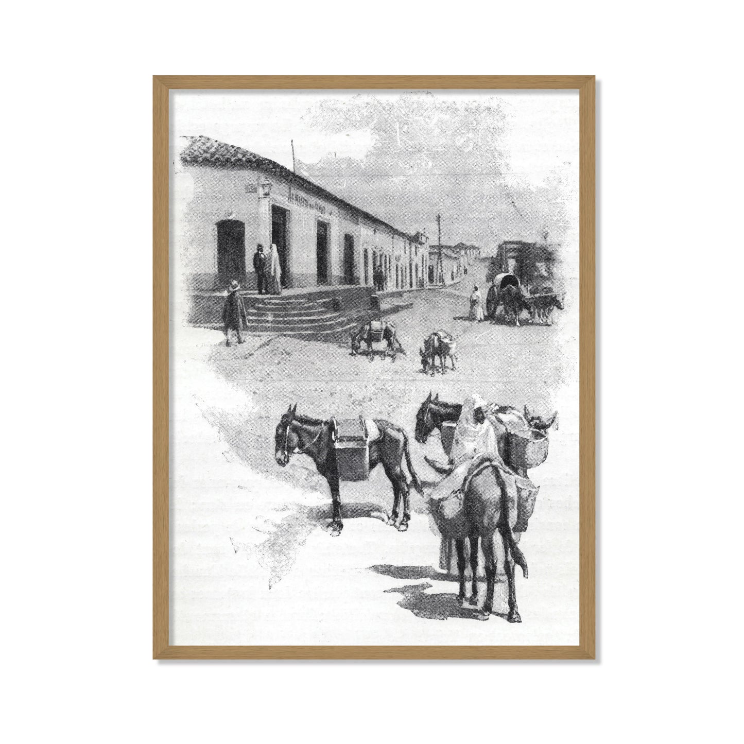 BURROS DE CARGA EN ASUNCIÓN