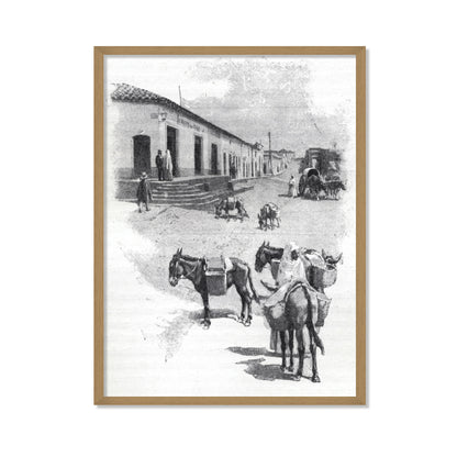 BURROS DE CARGA EN ASUNCIÓN