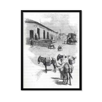 BURROS DE CARGA EN ASUNCIÓN