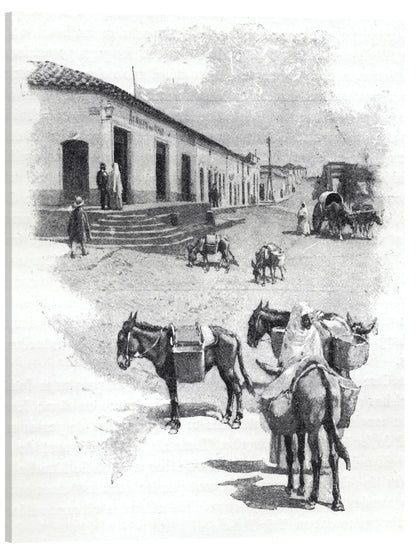 BURROS DE CARGA EN ASUNCIÓN