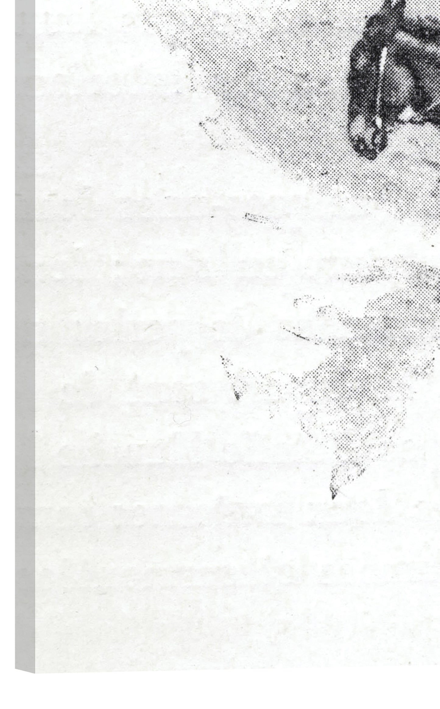 BURROS DE CARGA EN ASUNCIÓN