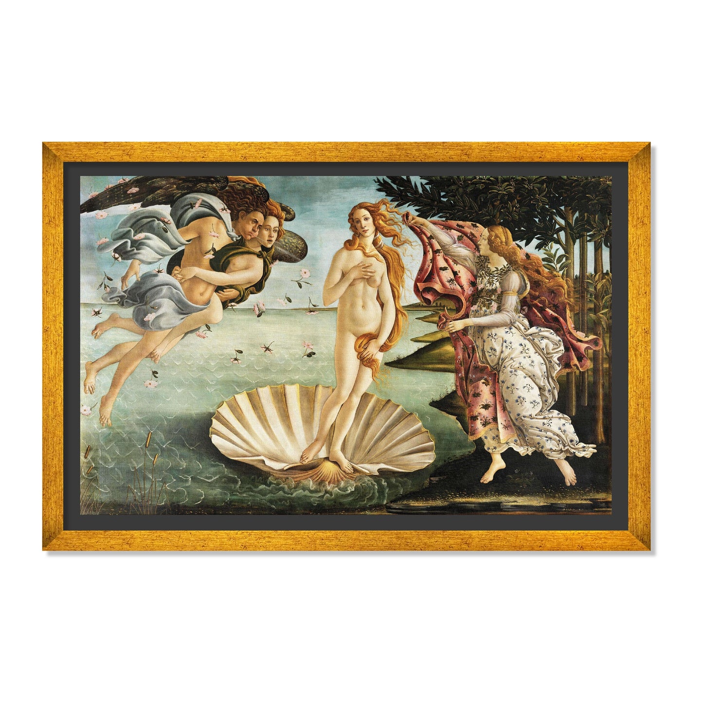 EL NACIMIENTO DE VENUS