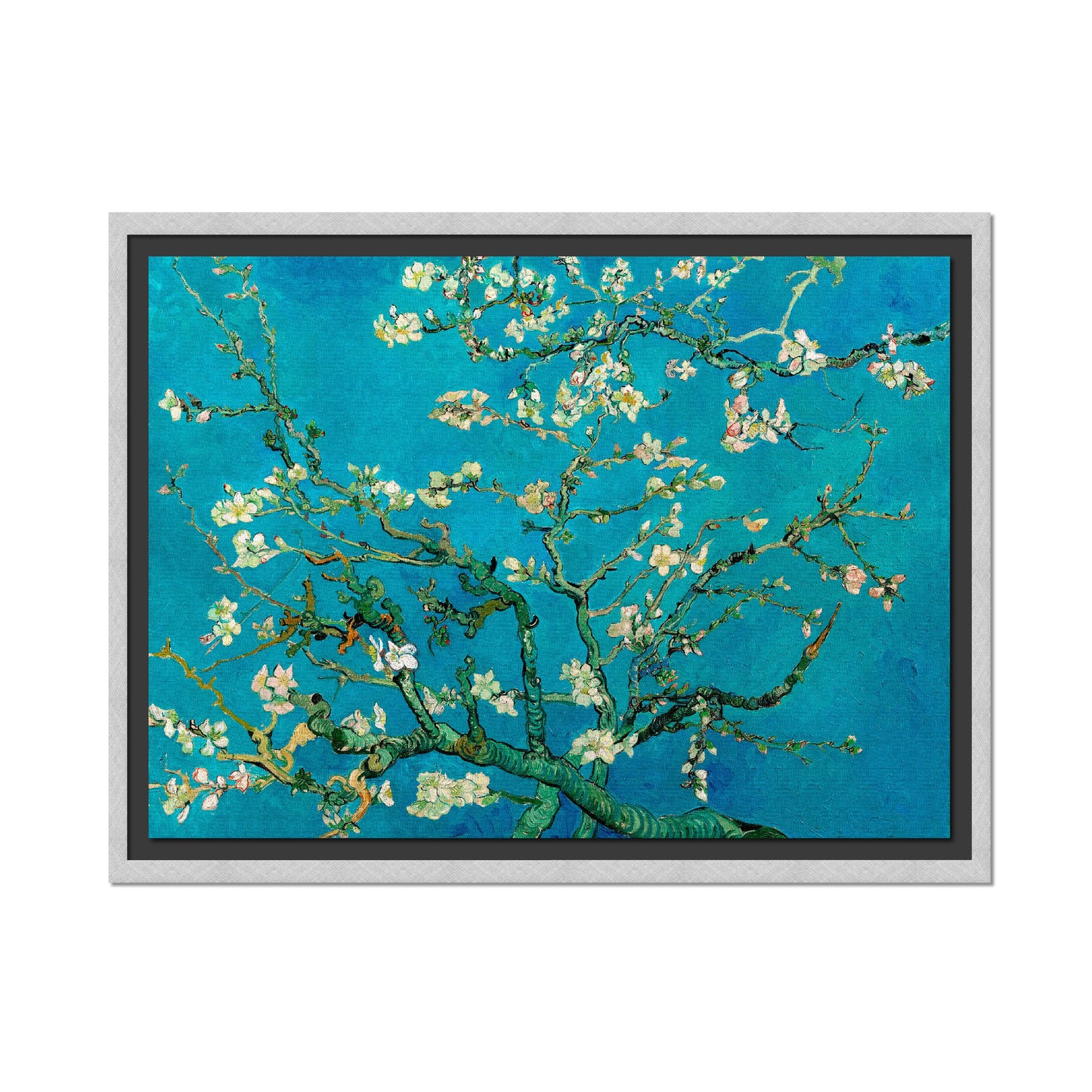 ALMENDRO EN FLOR