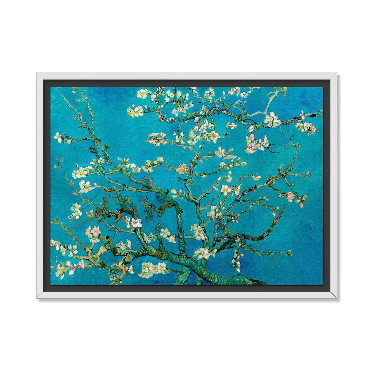 ALMENDRO EN FLOR