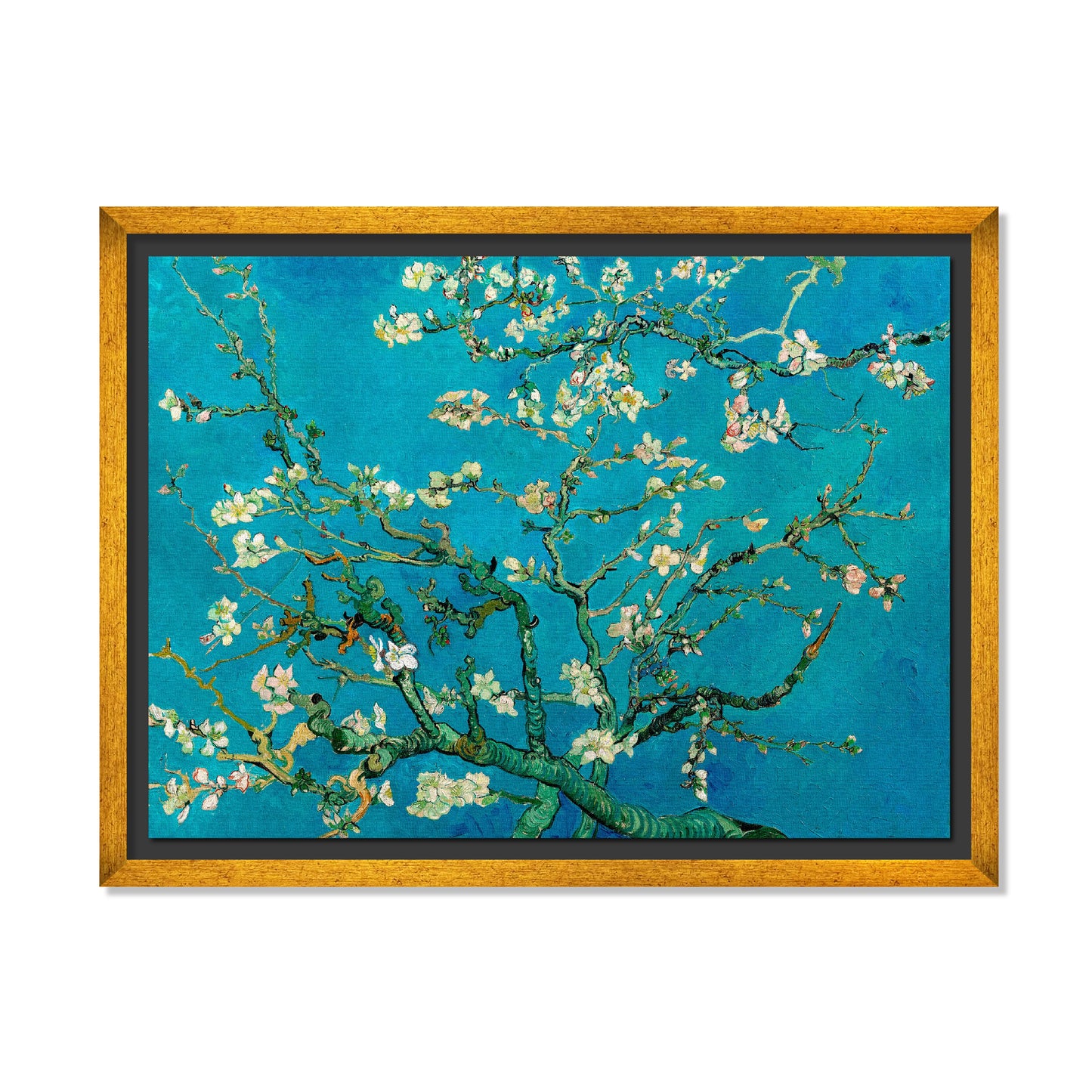 ALMENDRO EN FLOR