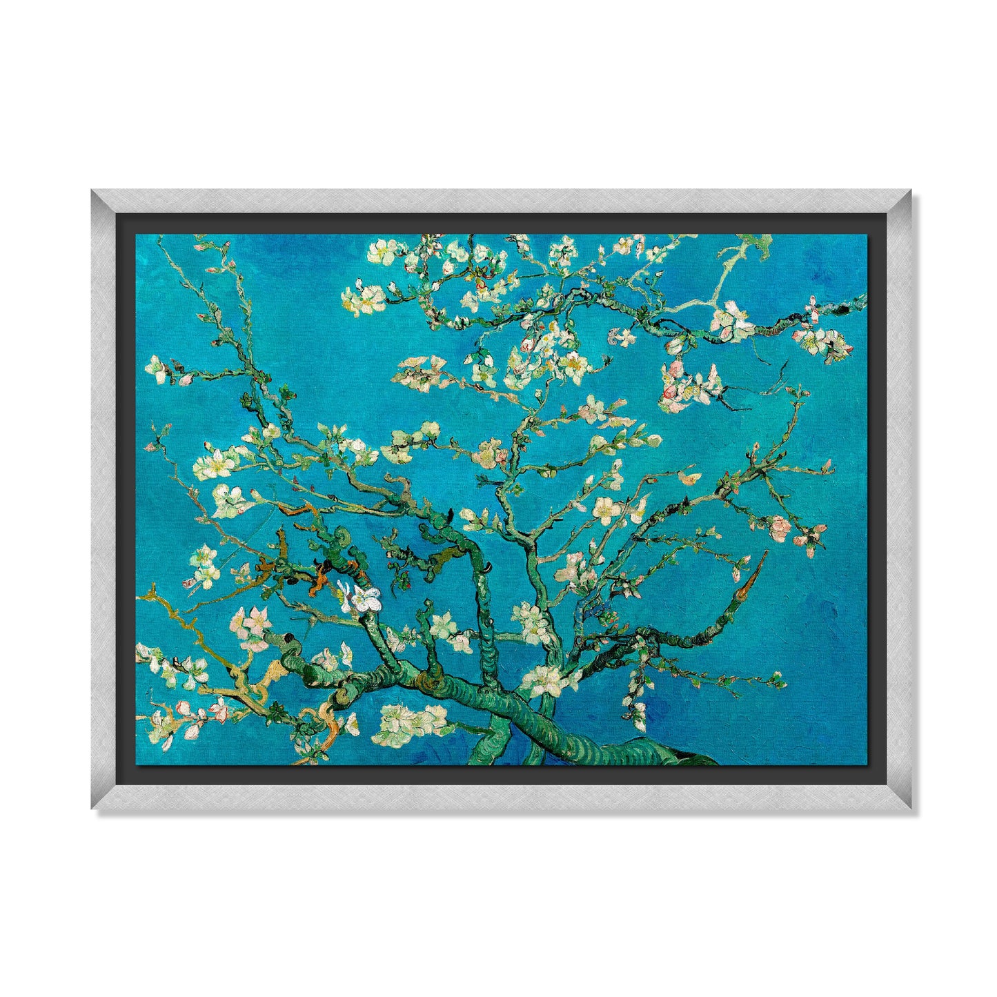 ALMENDRO EN FLOR