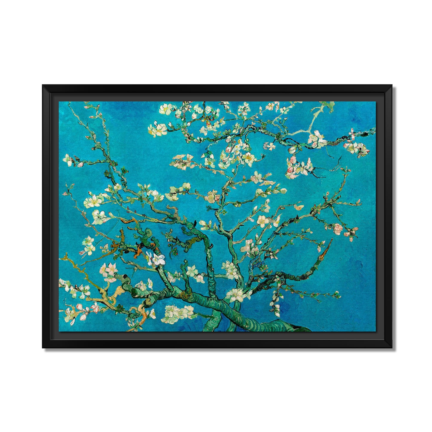 ALMENDRO EN FLOR