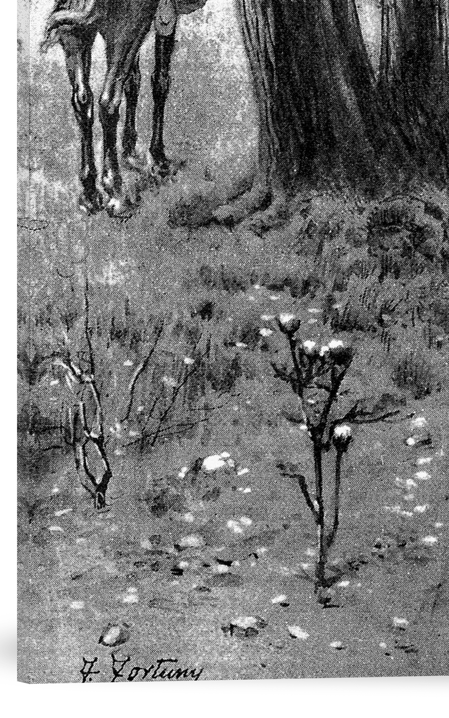 LA ENTREVISTA DE YATAYTÍ CORÁ