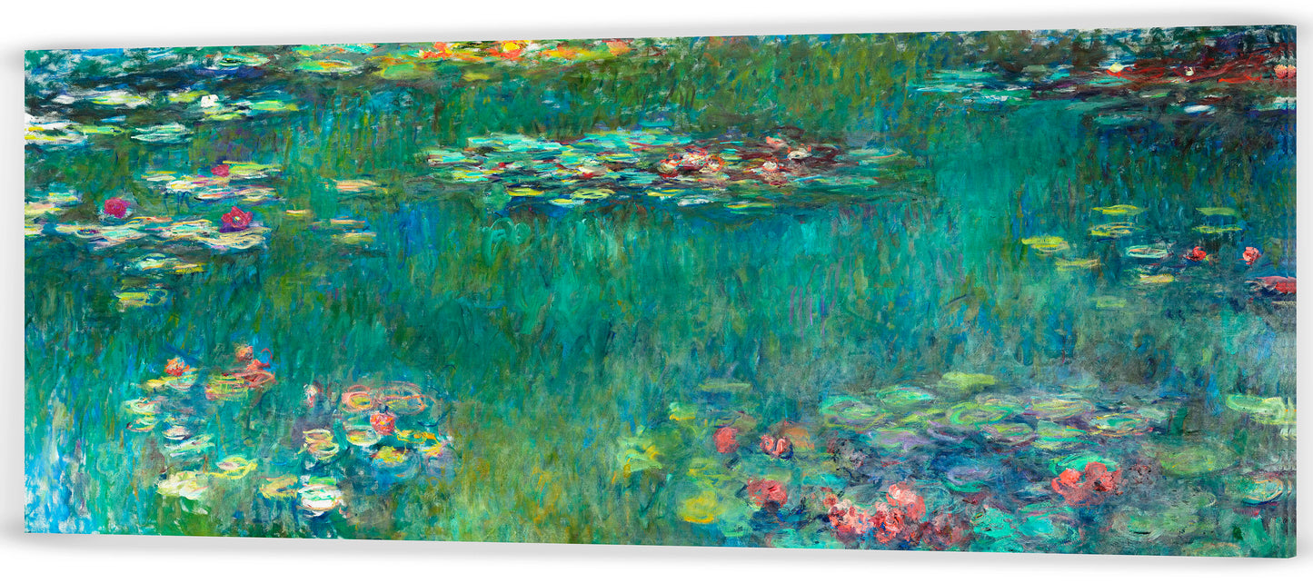 NENÚFARES