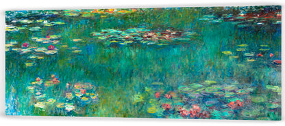 NENÚFARES