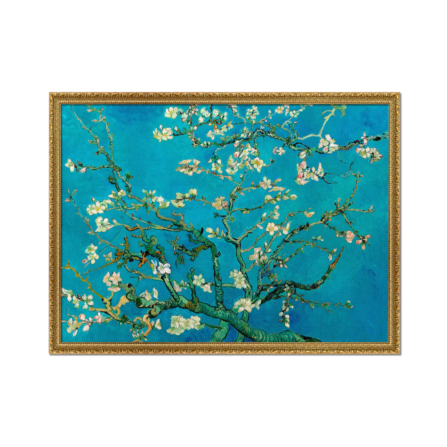 ALMENDRO EN FLOR