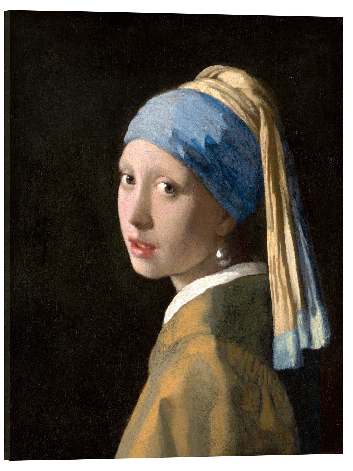 LA JOVEN DE LA PERLA