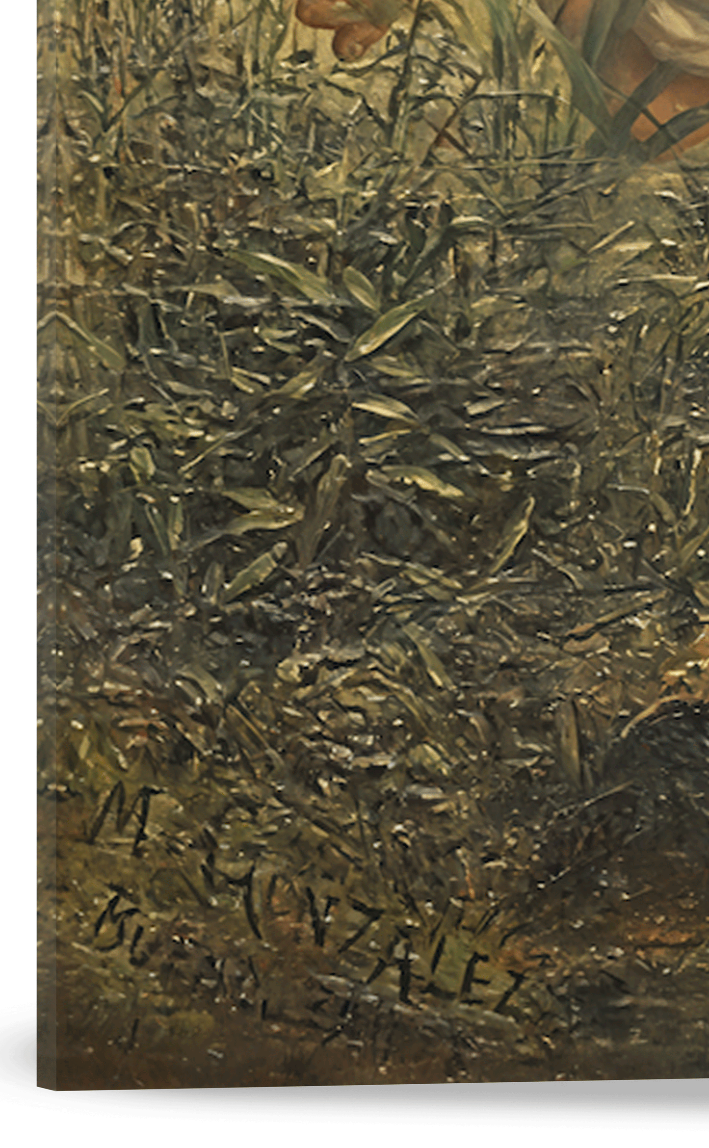 SOLDADO PARAGUAYO EN AVANZADA