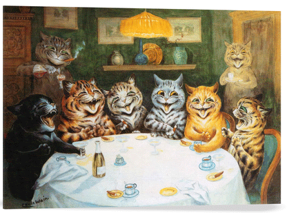 FIESTA DE GATOS