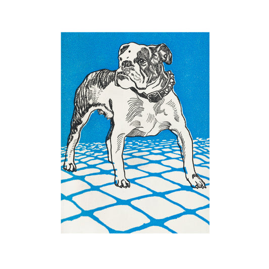 BULLDOG